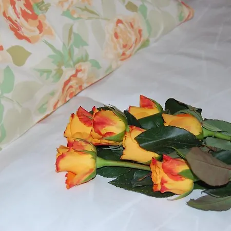 Bed & Breakfast Pri Slovenc 3*