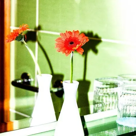 Pri Slovenc Bed & Breakfast Dol pri Ljubljani